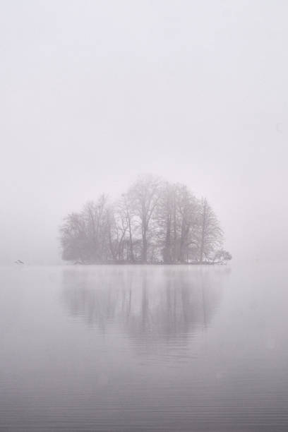 istock Island in the fog 1574444541