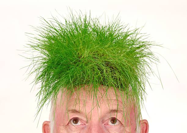 Going Green Grass Toupee on man stock photo
