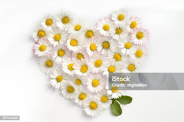 Cuore Di Fiori Su Sfondo Bianco - Fotografie stock e altre immagini di Margherita - Margherita, Simbolo di cuore, Fiore