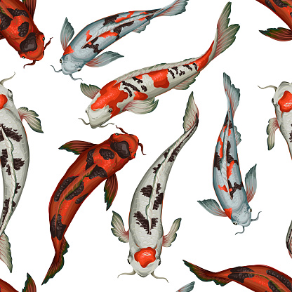 Seamless pattern  with koi fishes. Vector