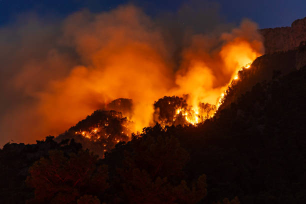 incendio boschivo notturno a kemer, antalya - luglio 2023 - arson black bright burning foto e immagini stock