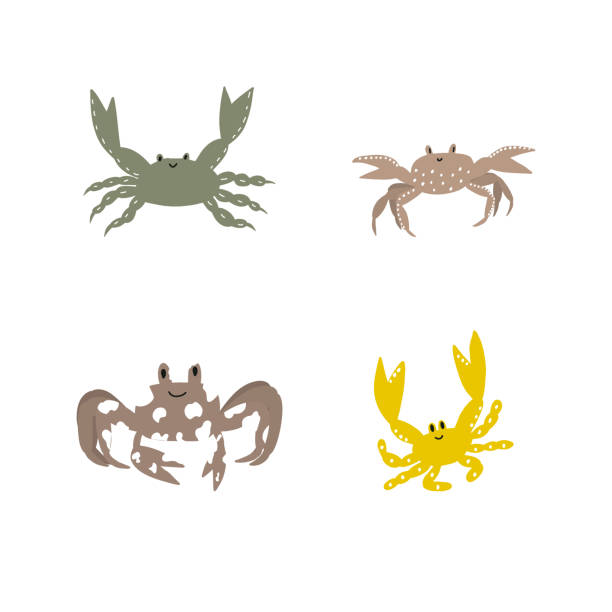 istock Cute crab in Scandinavian style on a white background. Vector hand drawn kids illustration. Sea ocean. Underwater world 1574482513