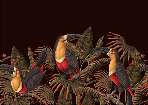 Border with toucans and tropical leaves. Vector