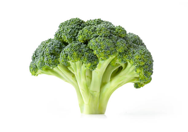 Broccoli isolati su sfondo bianco - foto stock
