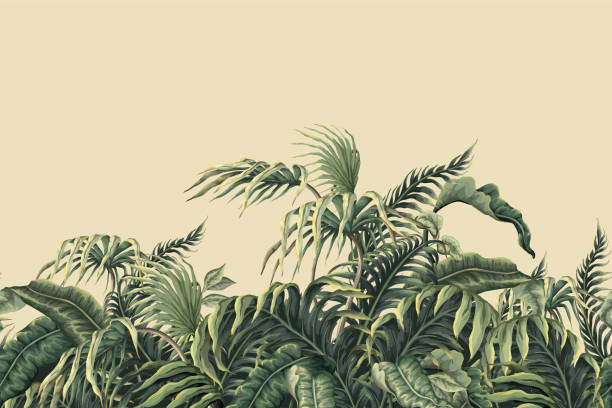 ilustrações de stock, clip art, desenhos animados e ícones de border with jungle and tropical leaves. vector. - tree single word green fruit