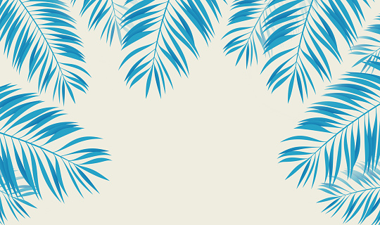 Blue green palm frond leaf beach tropical abstract vacation summer background.
