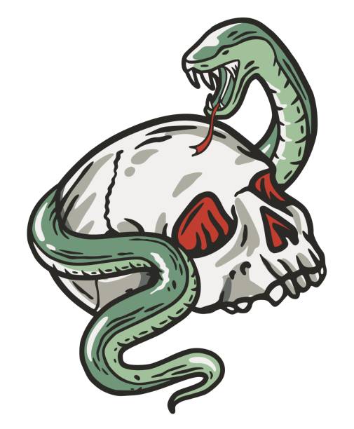 Halloween skeleton with skull and snake. Halloween undead and walking dead Halloween skeleton with skull and snake. Halloween undead and walking dead. Fear and spooky zombie for design dark party of happy halloween snake anatomy stock illustrations