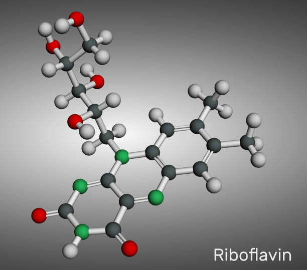 riboflavin, vitamin-b2-molekül. es ist ein wasserlösliches flavin, das in lebensmitteln vorkommt und als nahrungsergänzungsmittel e101 verwendet wird. molekulares modell. 3d-rendering. - flavian stock-fotos und bilder