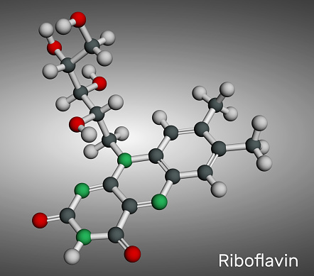 Riboflavin, vitamin B2 molecule. It is water-soluble flavin, is found in food, used as a dietary supplement E101. Molecular model. 3D rendering.
