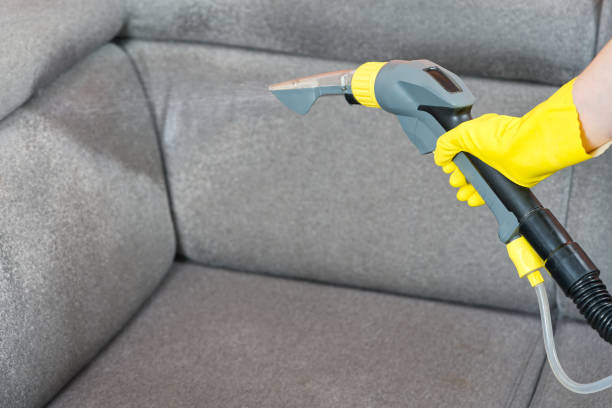 istock Textile sofa chemical cleaning with professionally extraction method. Upholstered furniture. 1574562343