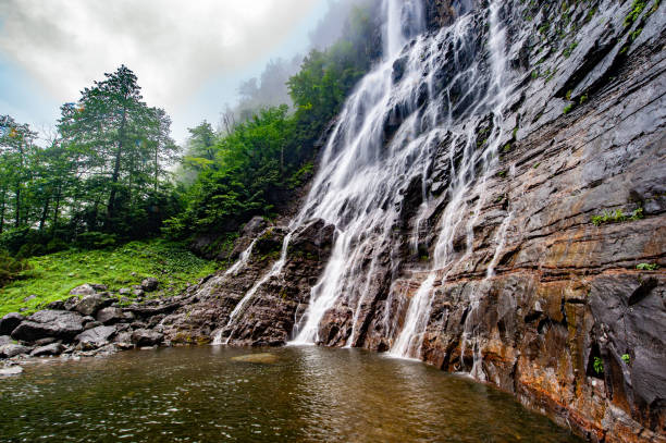istock Mencuna Waterfall and foggy forest texture 1574569224