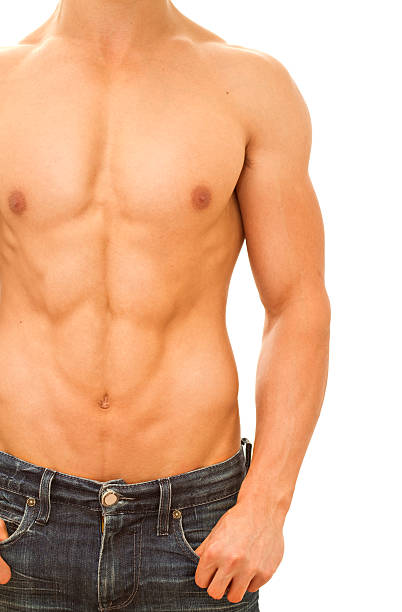 Muscular and tanned male torso. stock photo