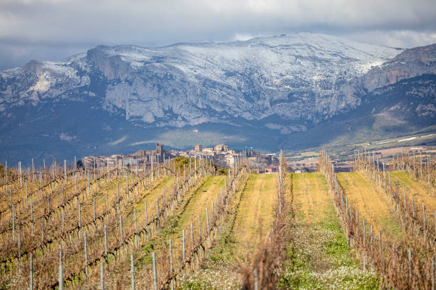 istock View of Laguardia from a recently vine-pruned vineyard 1574578463
