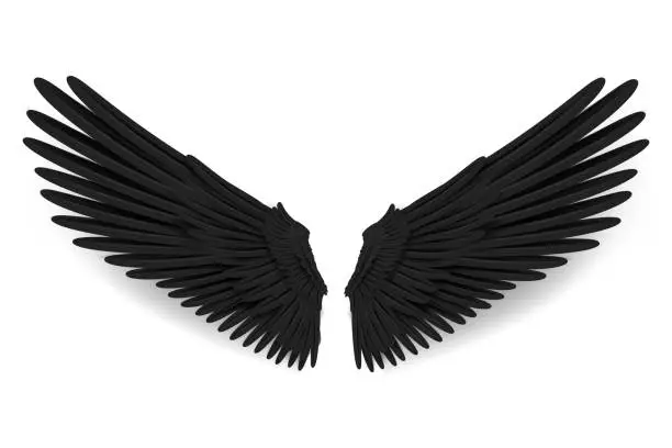 Vector illustration of Realistic angel wings