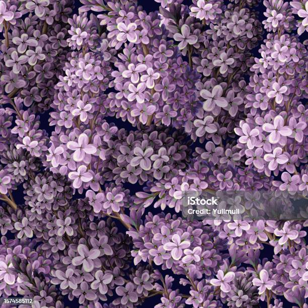 Seamless Pattern With Lilacs Vector Stock Illustration - Download Image ...