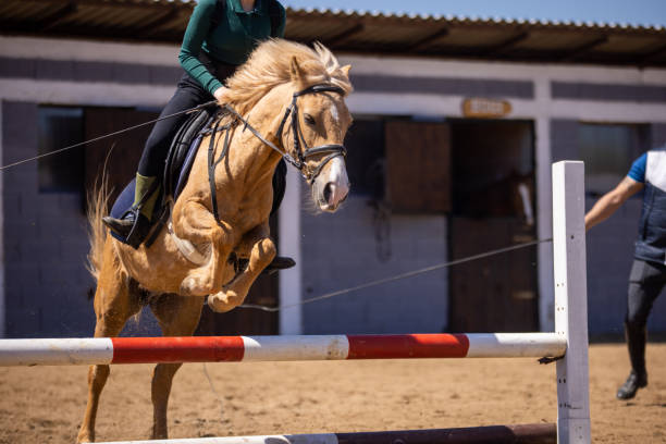 istock Young jockey riding a small horse 1574585657