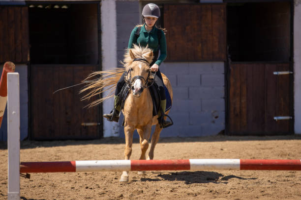 istock Girl riding a small horse 1574586210