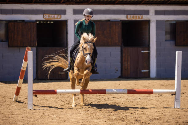 Close-up of horse with a rider jumping over a hurdle at a competition. The photo shows the moment when the horse front legs exceed the hurdle while its back legs are still on the ground. The female rider is raised in the saddle and leaning forward while the horse prances. The rider and the horse seem coordinated and synchronized. In the background is a blue sky with clouds.