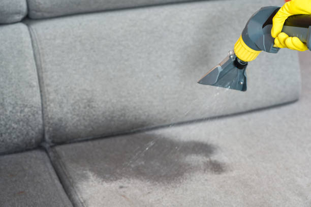 istock Sofa chemical cleaning with professionally extraction method. Wet textile sofa cleaning 1574587286