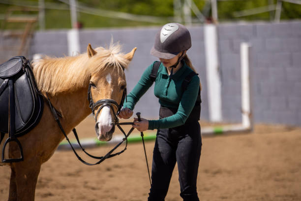 istock Girl with her horse 1574599283