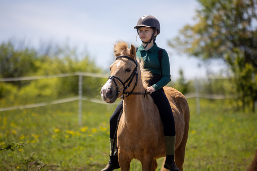 Girl riding a brown horse outdoors on a meadow.