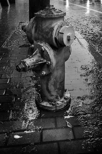 A fire hydrant in Los Angeles in the rain