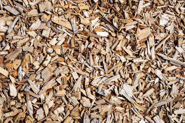 istock Wood abstract texture. Surface grunge backdrop. Dirty wooden effect pattern. Material background. 1574637808