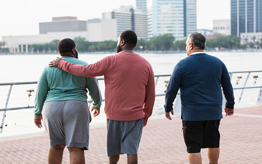 Rear view of three multiracial plus size men standing on a city waterfront looking at the view. The man on the right is Hispanic, in his 50s. The man in the middle is African-American, in his 30s. His arm is around the shoulder of his friend who is mixed race black and Pacific Islander, in his 20s.