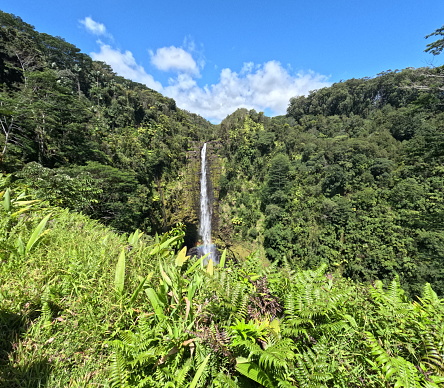 Akaka Falls, Hilo Hawaii, Big Island
