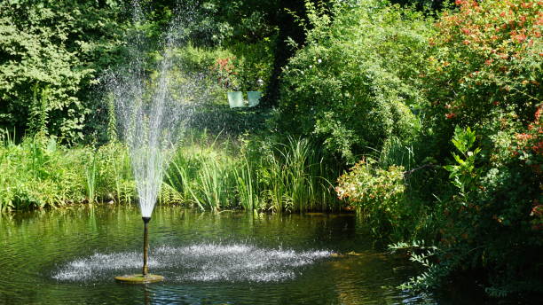 istock Fountain in the summer garden 1574661241