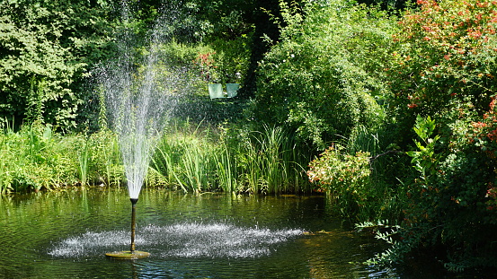 Fountain in the summer garden