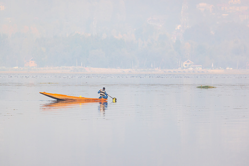 Dal Lake, Srinagar, Jammu and Kashmir, India. October 26, 2022. Man paddling a traditional boat on Lake Dal.