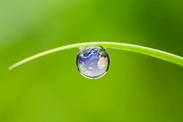 планета земля. dop природной среде, воде глобус лист waterdrop - plant macro studio shot outdoors стоковые фото и изображения