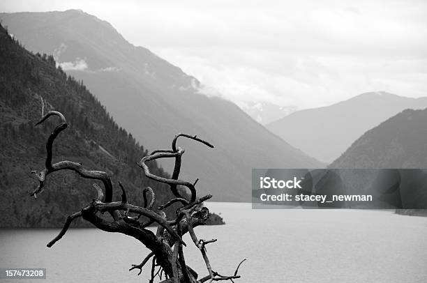 역재 있는 산 흑백에 대한 스톡 사진 및 기타 이미지 - 흑백, 산, 자연