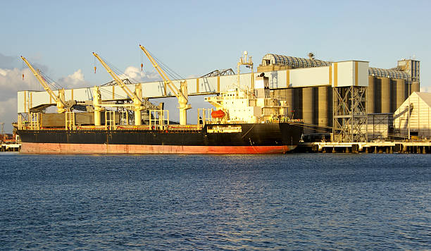Grain ship stock photo