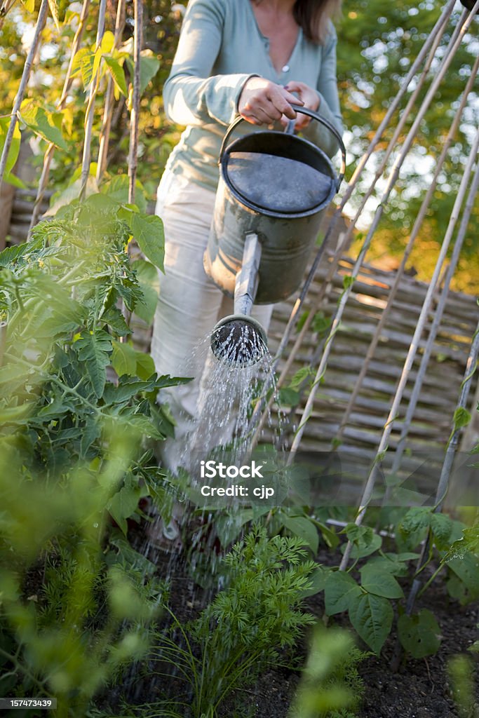 Mesas en el jardín de vegetales - Foto de stock de Agua libre de derechos