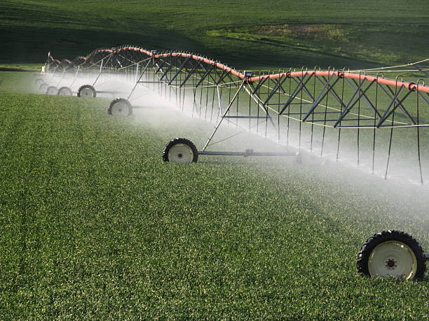 Sistema de irrigação do sistema - fotografia de stock