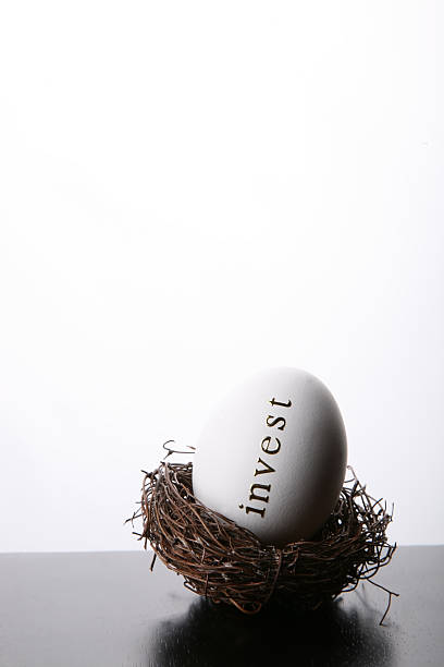 istock Invest into your nest egg 157475153