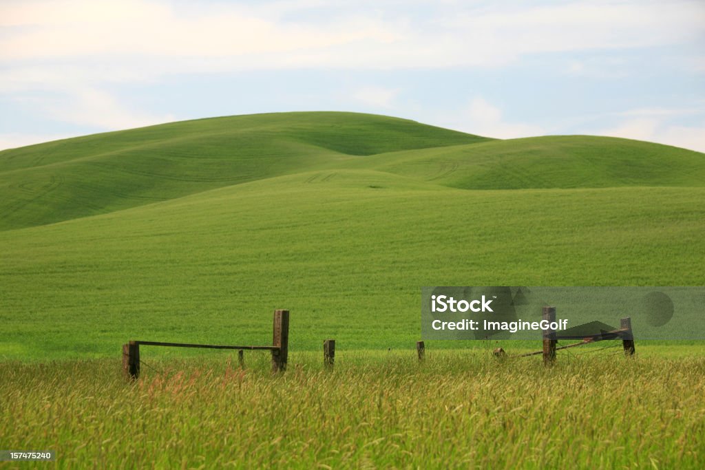 Grüne Hügellandschaft - Lizenzfrei Anhöhe Stock-Foto