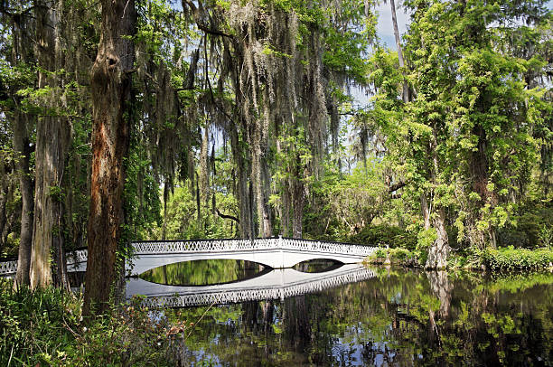 Beautiful white pedestrian bridge across a river in the popular southern town of Charleston in South Carolina