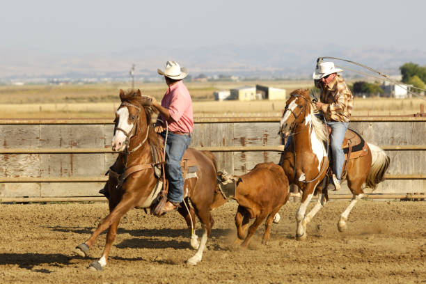 istock Two Cowboys in Rural Rodeo Arena 157475471