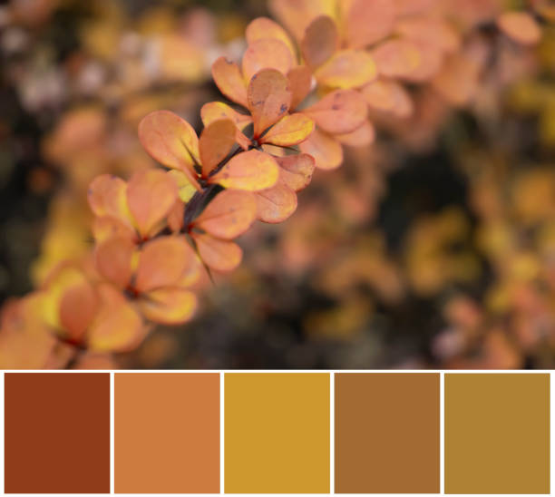 istock Autumn leaves, color palette swatch 1574757450