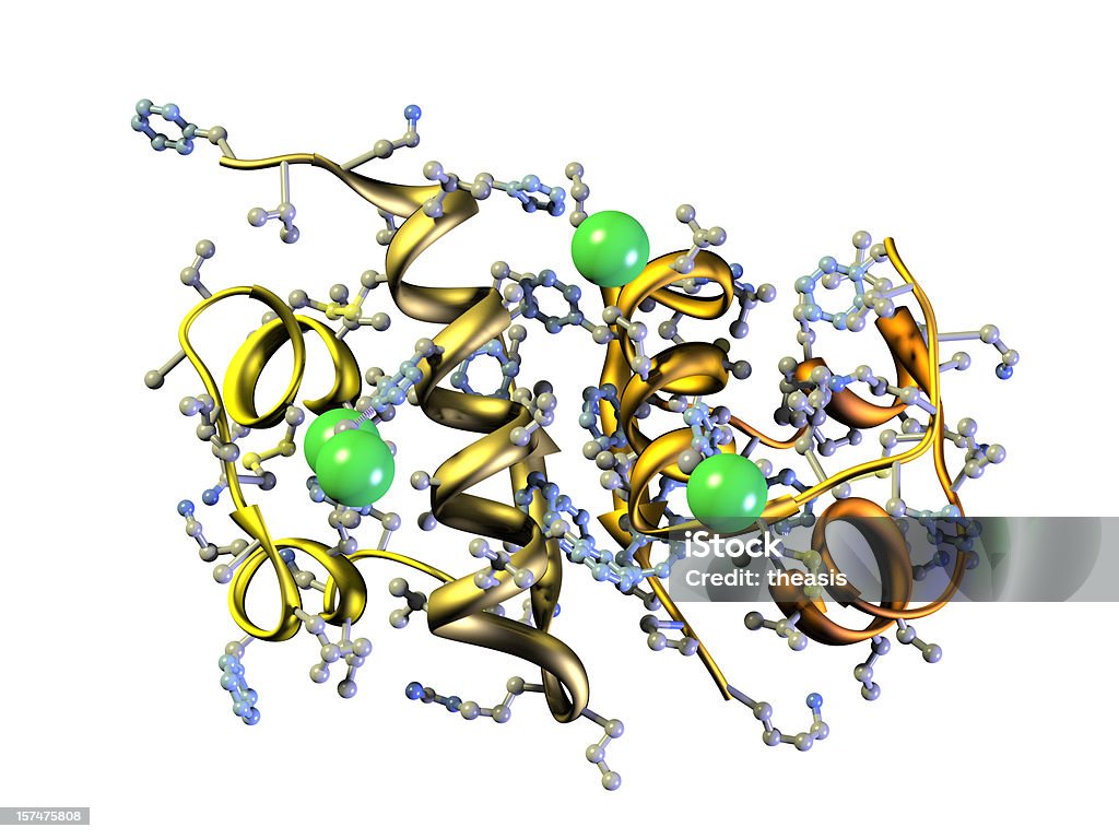 Modell des Menschliches Insulin - Lizenzfrei Protein Stock-Foto