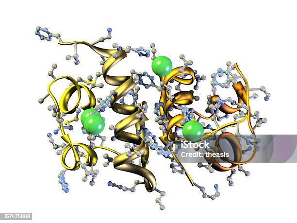 Modell Des Menschliches Insulin Stockfoto und mehr Bilder von Protein - Protein, Molekül, Insulin