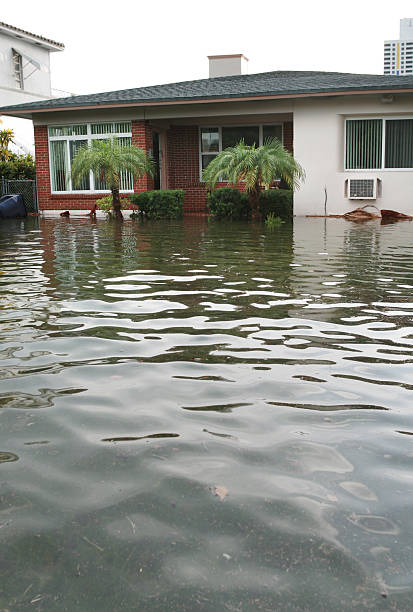 дом наводнение - hurricane florida стоковые фото и изображения
