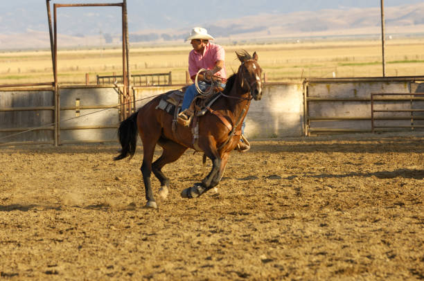 istock One Cowboy in Rural Rodeo Arena 157475946