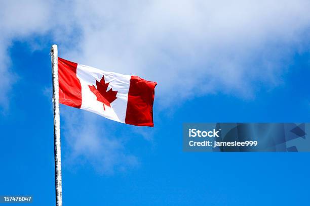 Hoja De Arce Foto de stock y más banco de imágenes de Bandera canadiense - Bandera canadiense, Viento, América del norte