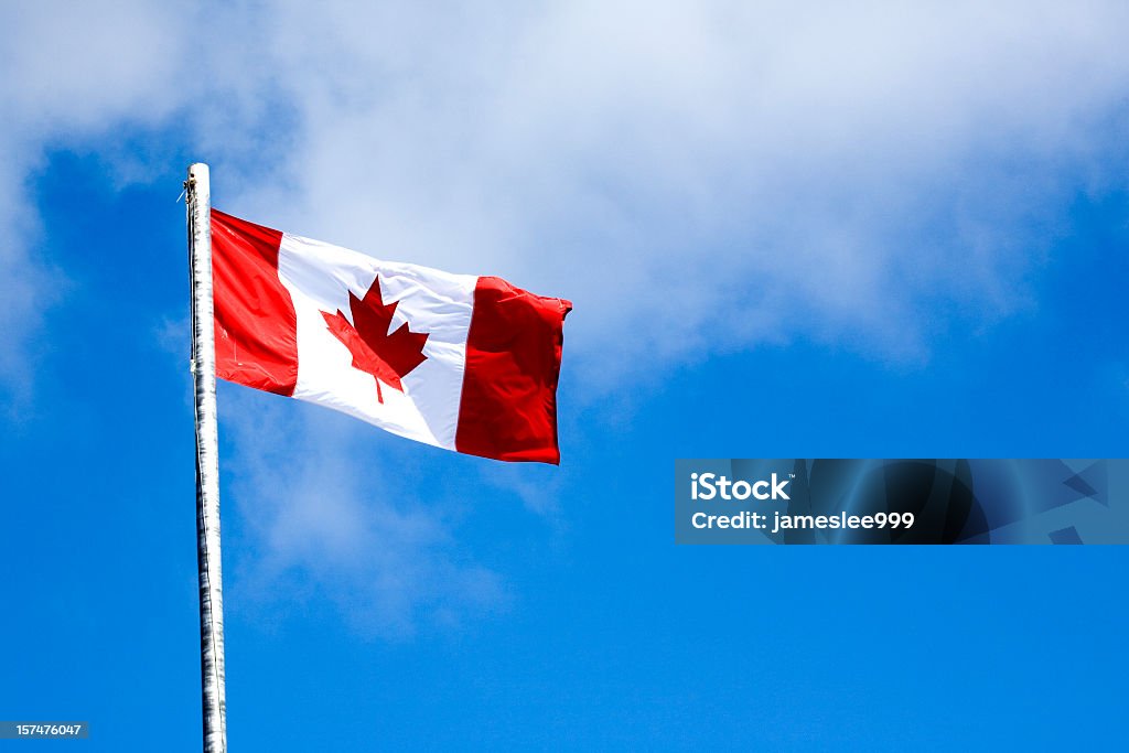 Foglia di acero - Foto stock royalty-free di Bandiera del Canada