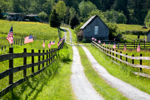Country road tow sides with many US flags.