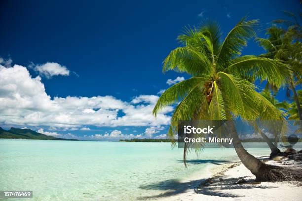 Ideal De Bora Borapalm Beach Foto de stock y más banco de imágenes de Tahití - Tahití, Bora Bora, Agua